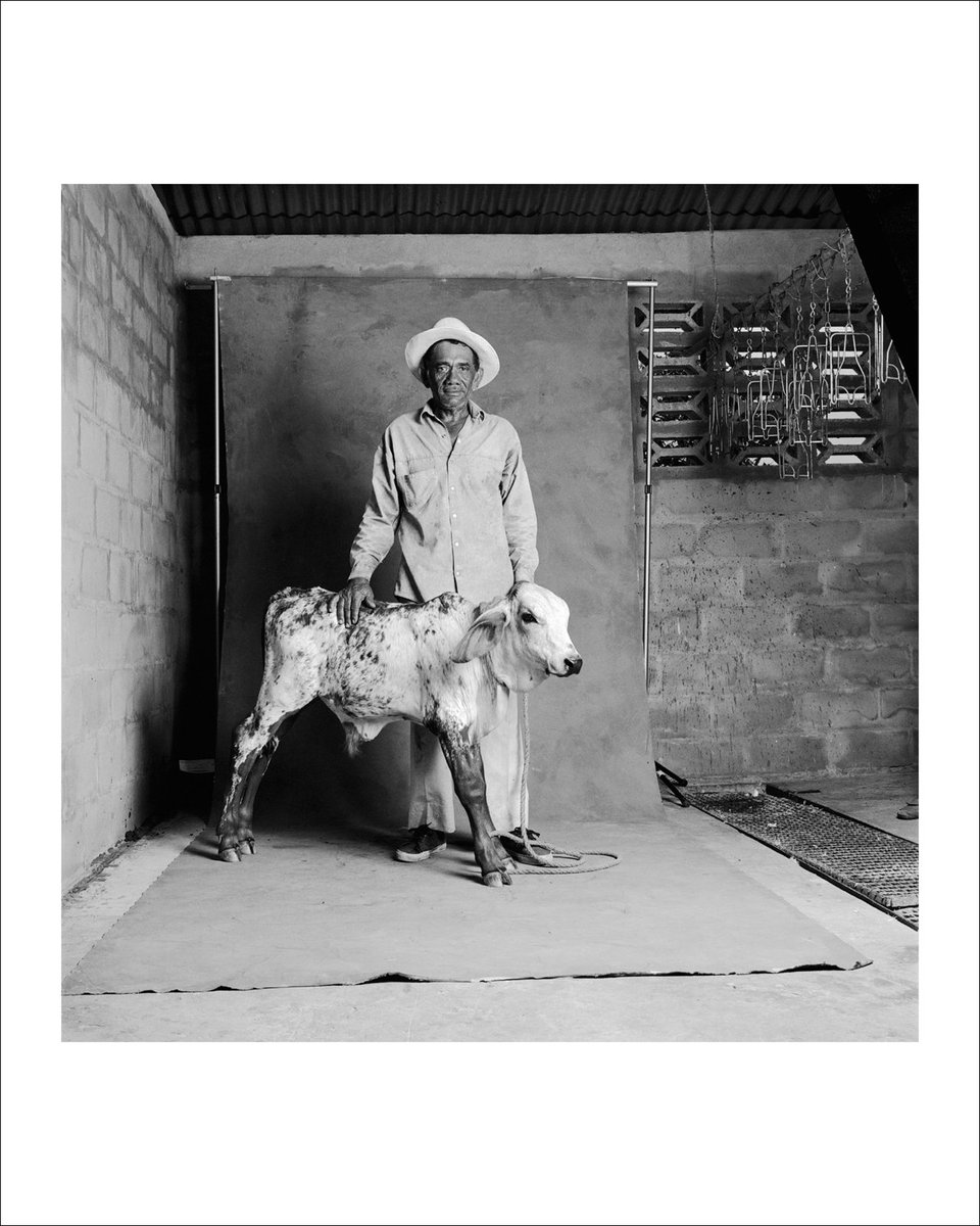 Archivo Fotografía Urbana tweet media