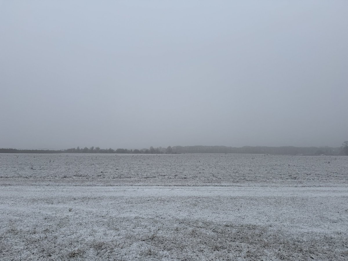 DickCheneyAlt's tweet image. Cool