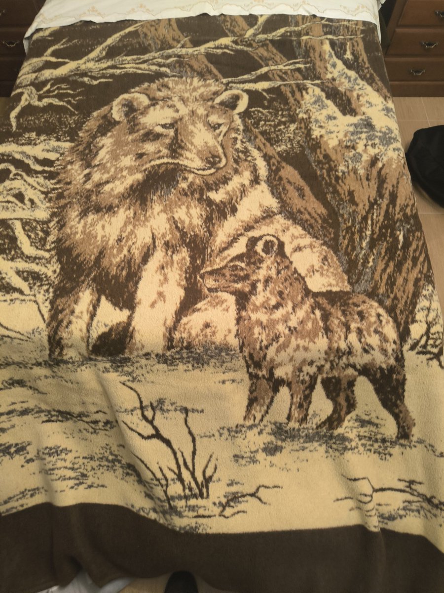 Q opinais d esta manta yo creo q va dura d pelotas