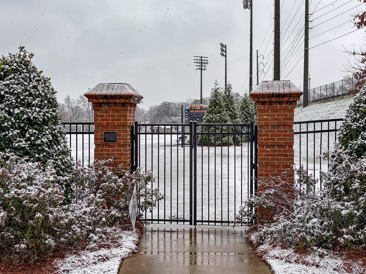 Mercer Men's Soccer tweet media