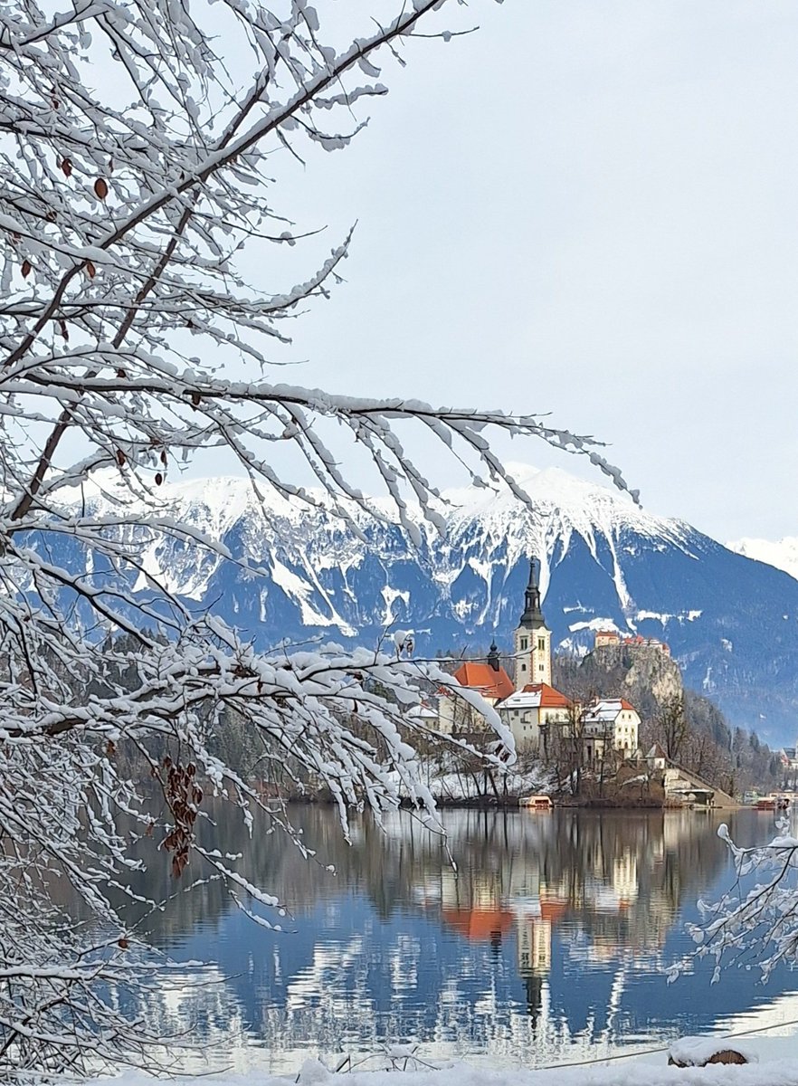 nancycappelli's tweet image. Lago #aBled #Eslovenia 🇸🇮 #RecuerdoDeViaje #Wanderlust @cappellimario @paodavuy