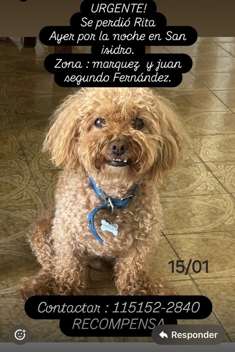 Están desesperados, por favor RT. Hay recompensa.