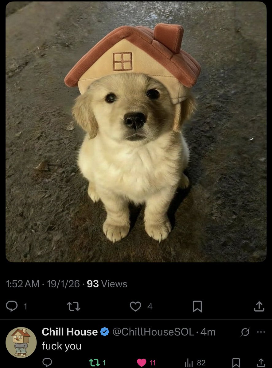 CHILLHOUSE or GkyPYa7NnCFbduLknCfBfP7p8564X1VZhwZYJ6CZpump)