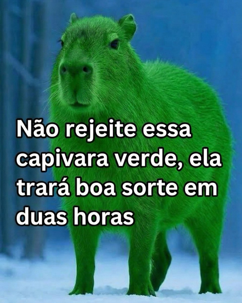 mel (@meltedvideos) on Twitter photo 