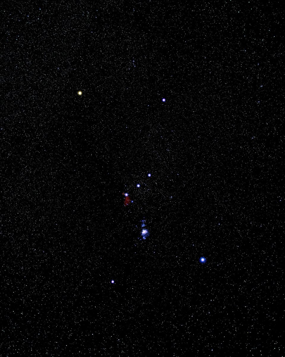 astropics's tweet image. Orion ✨