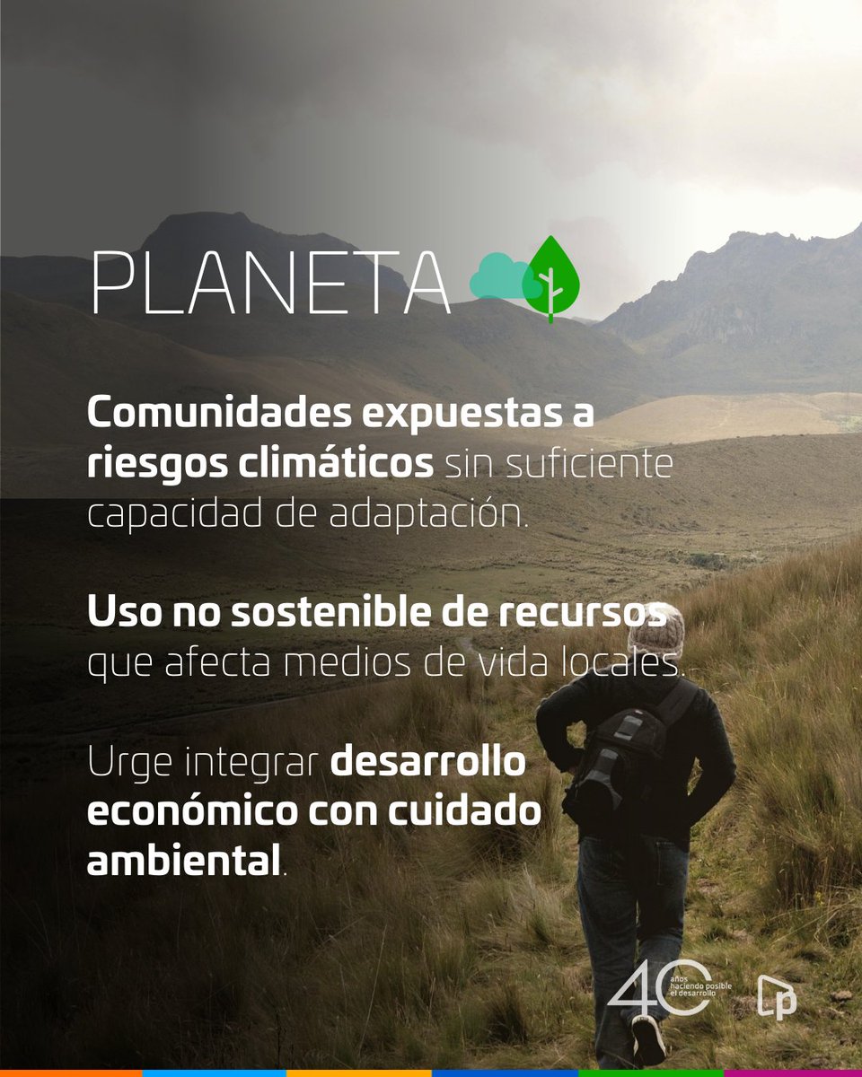 Prisma ONG tweet media