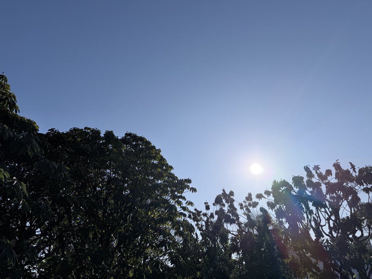 sato_thinking's tweet image. 伝わらない原因は、話し方ではなく思考の浅さにある。

本当に何を伝えたいのかを自分で理解できているかを問い直してみる。ちゃんと考えが整理されていれば、言葉は自然と届く。

おはようございます。
今日も良い一日をお過ごしください！