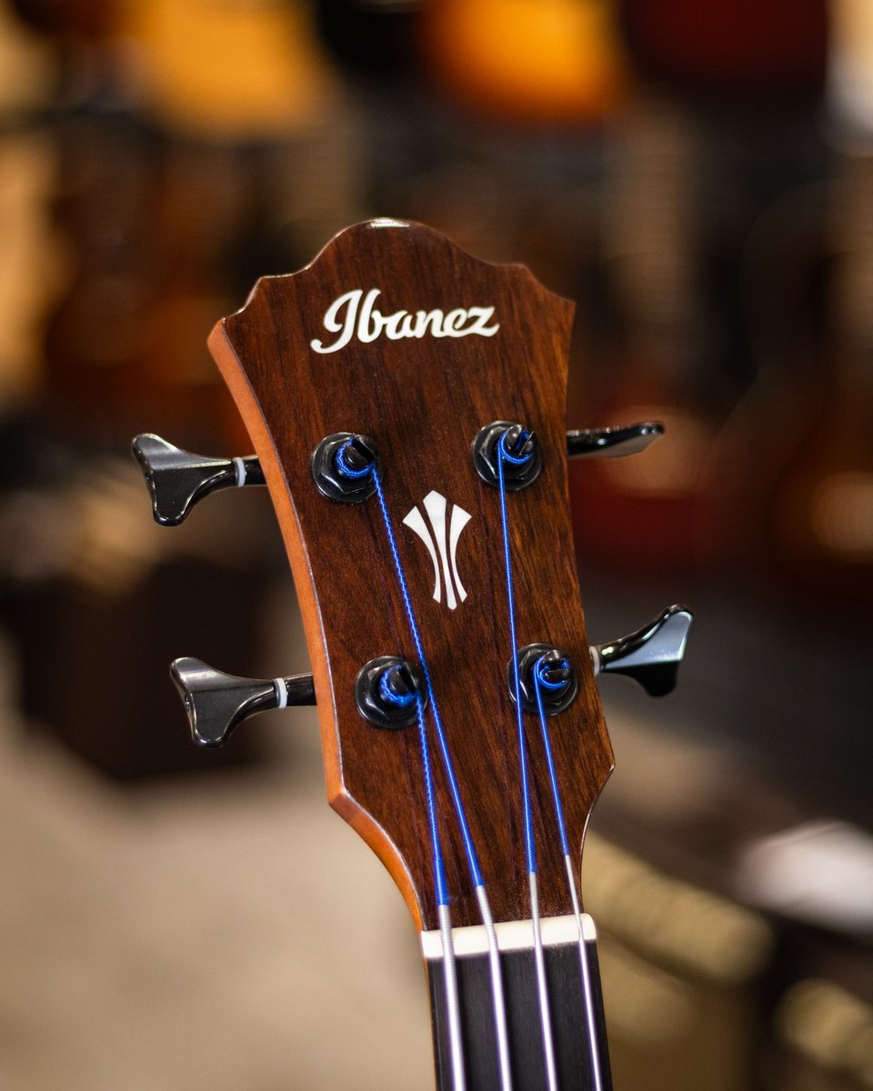 Long & McQuade tweet media