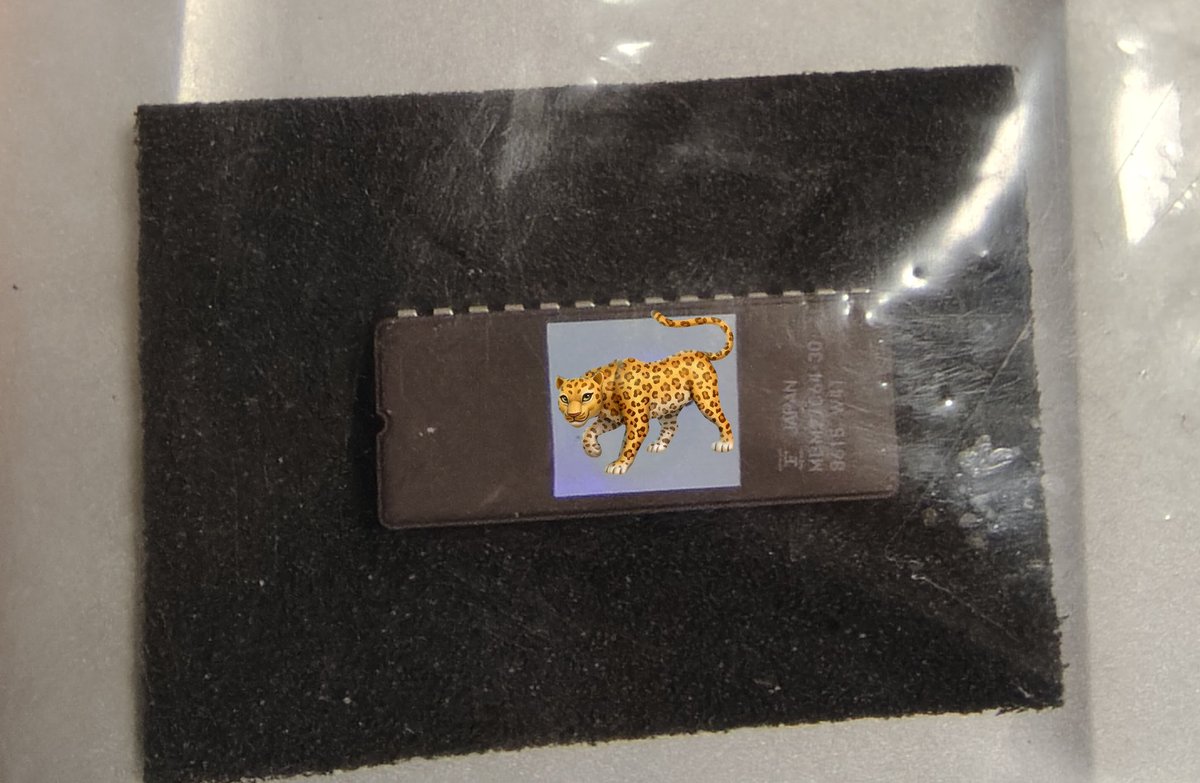 しげちゃん けえ【島育ち】アクキー（ガシマくん）｜けえ【島育ち】 - Creator Store