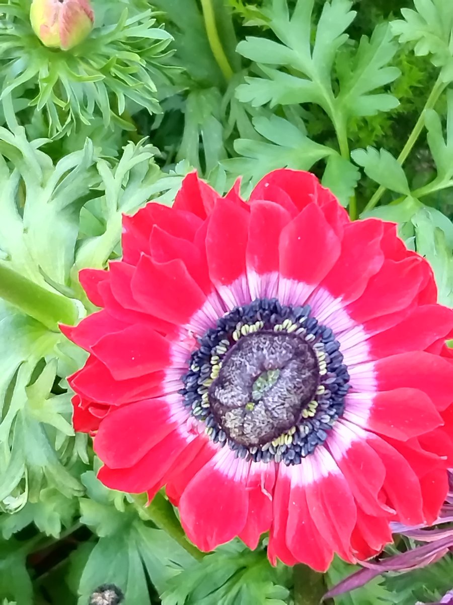 🍇 ゆゆまる ♋️ (@yuyumaru_718) / Posts / X