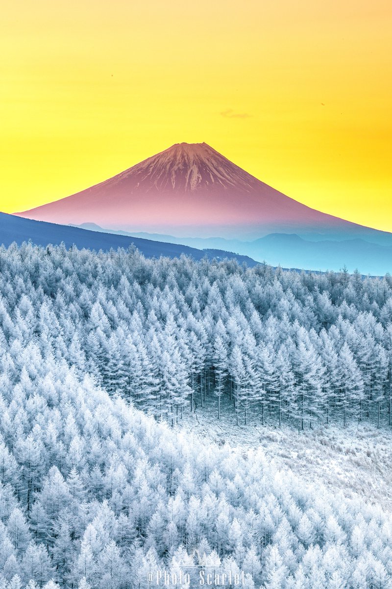 #はじめましてこちら代表作になります

何度でも見てほしい、自分史上最高の冬景色。

冬に休みのたび通って遂に出会えた奇跡の風景…もうこれ以上の景色には出会えない気がしてならないです😭