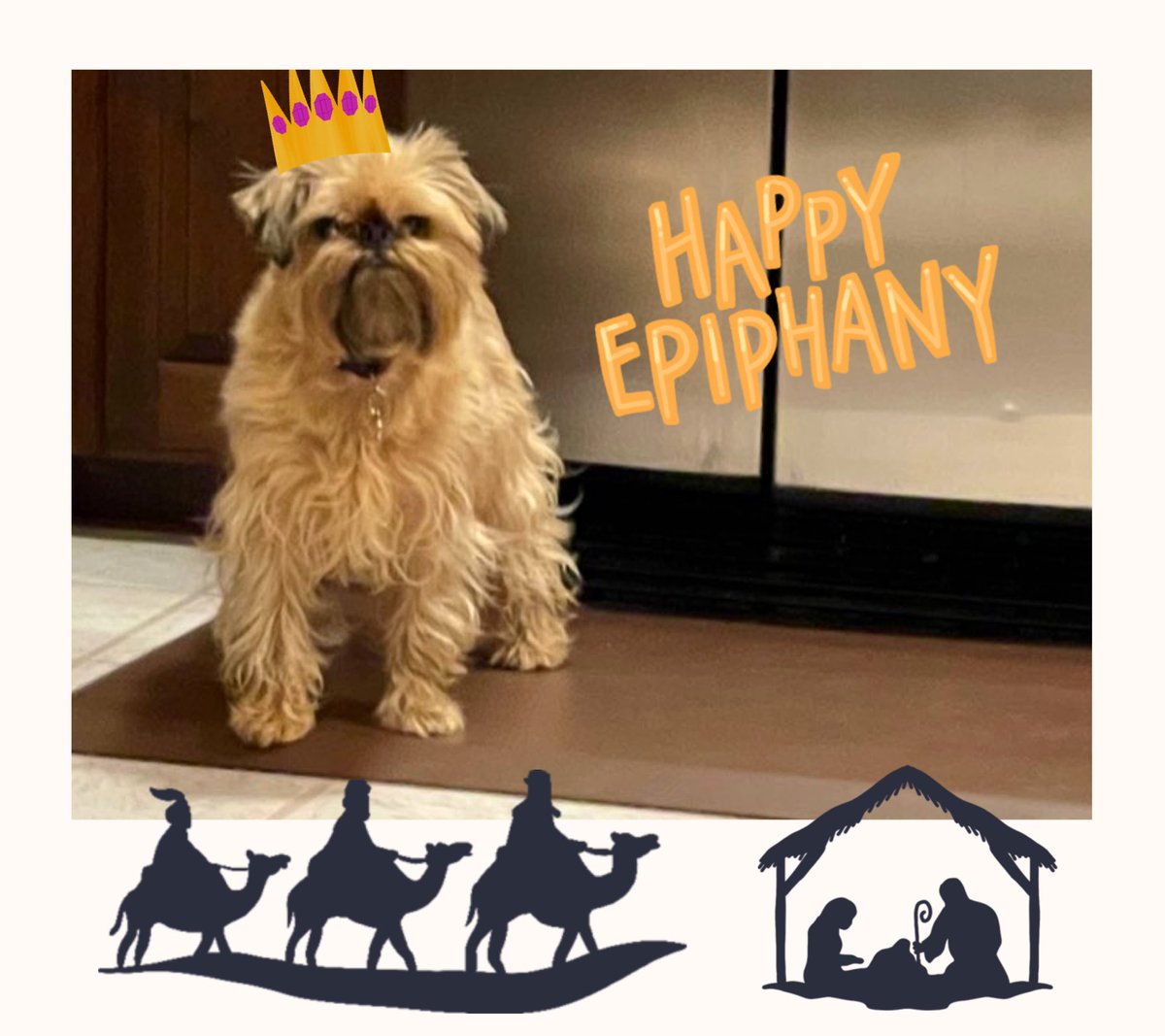 Yorkie7's tweet photo. ℍ𝕒𝕡𝕡𝕪 𝕋𝕙𝕣𝕖𝕖 𝕂𝕚𝕟𝕘𝕤 𝔻𝕒𝕪!👑👑🐪🐫👑❤️❤️
Today is the 12th day of Christmas!
The day the three kings; the magi met Jesus bearing gifts. 🎁🎁
Have a great day to those who celebrate!!❤️👑👑🐪🐫🐾🐾
#HappyEpiphany
#ThreeKingsDay https://t.co/OREI4pOIDK
