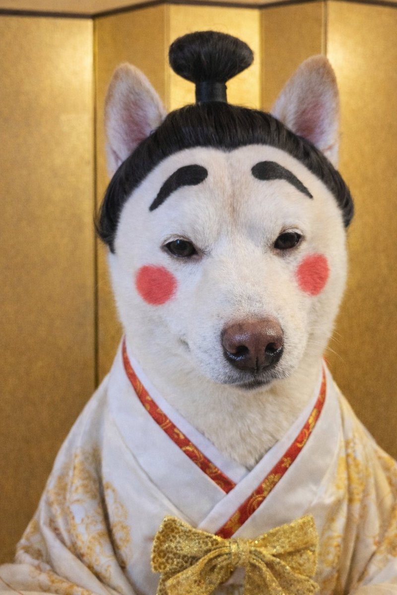 こむぎページ こむぎ