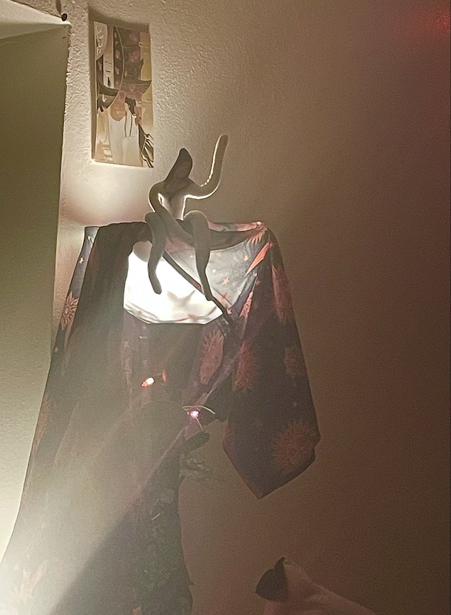 Luya🔆 (@huashiax) on Twitter photo 