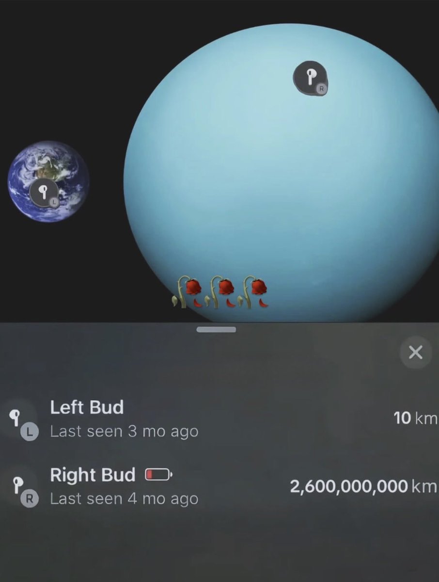 Wild Sentences (@wildsentences) on Twitter photo 