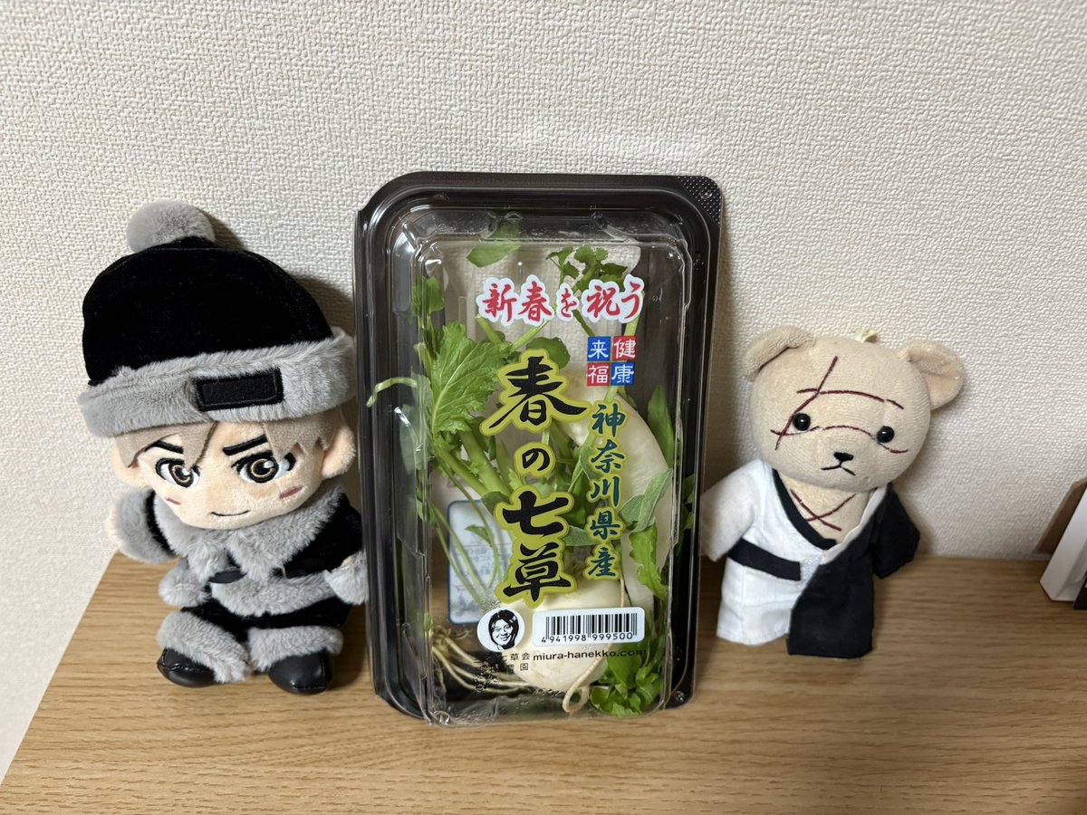 今日は、春の七草ですね? ぬい拓くんのお洋服、何か調達したいなぁ 