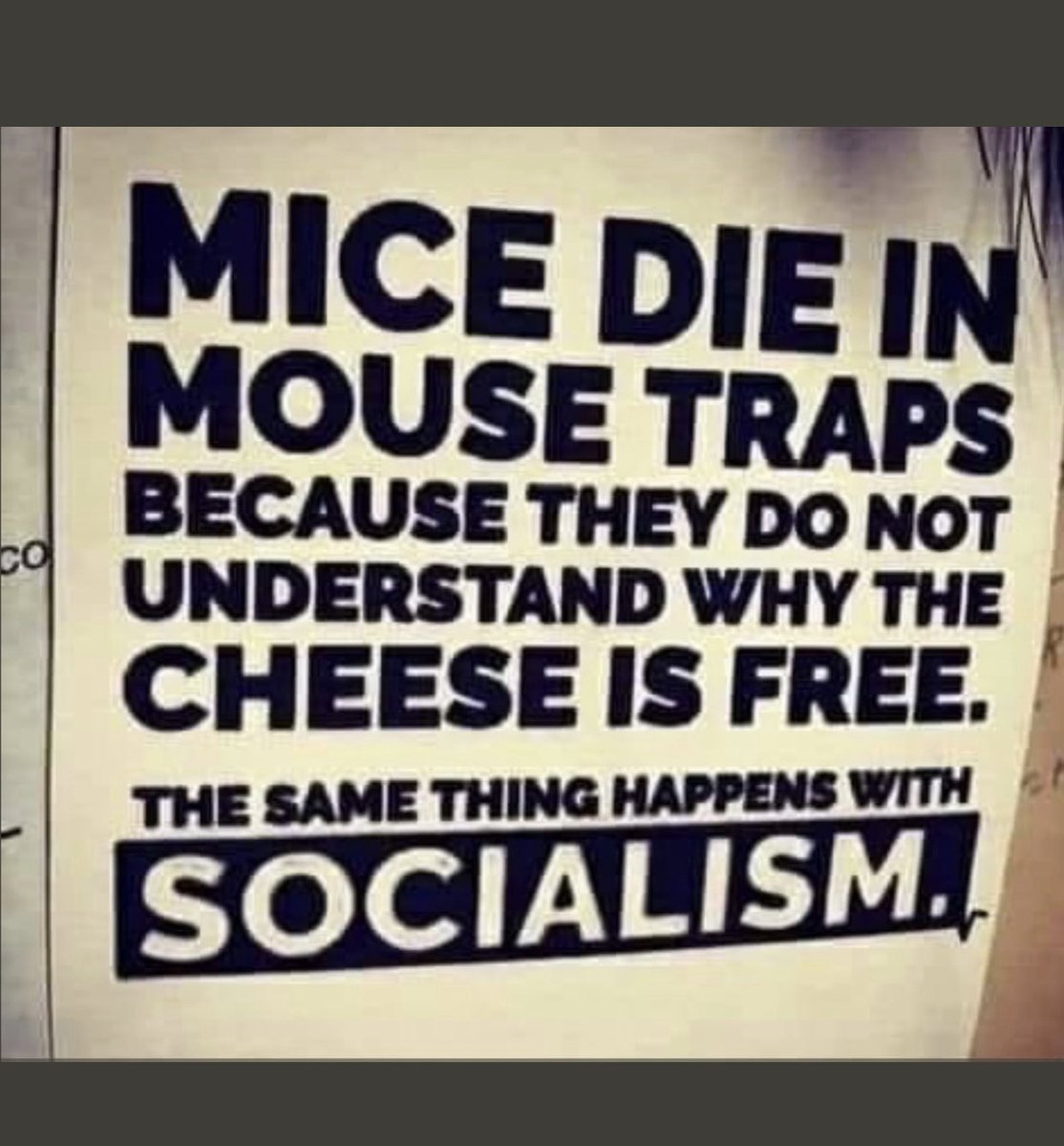 <a href="/winnipegsun/">Winnipeg Sun</a> Enjoy the cheese…