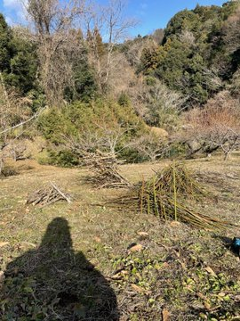 おはようございます☀
良い天気ですねぇ
昨日に引き続き
梅の剪定枝を細かくして片付けますか
先はまだ遠いぞ😢
スタートがあればゴールはある
そしてまた新しいスタートがはじまる