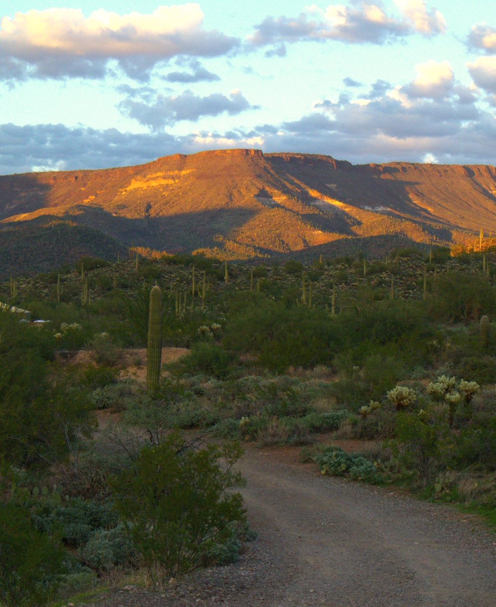 A trail for Tuesday:  golden hour at Spur Cross Ranch Conservation Area, Cave Creek, Arizona🌵