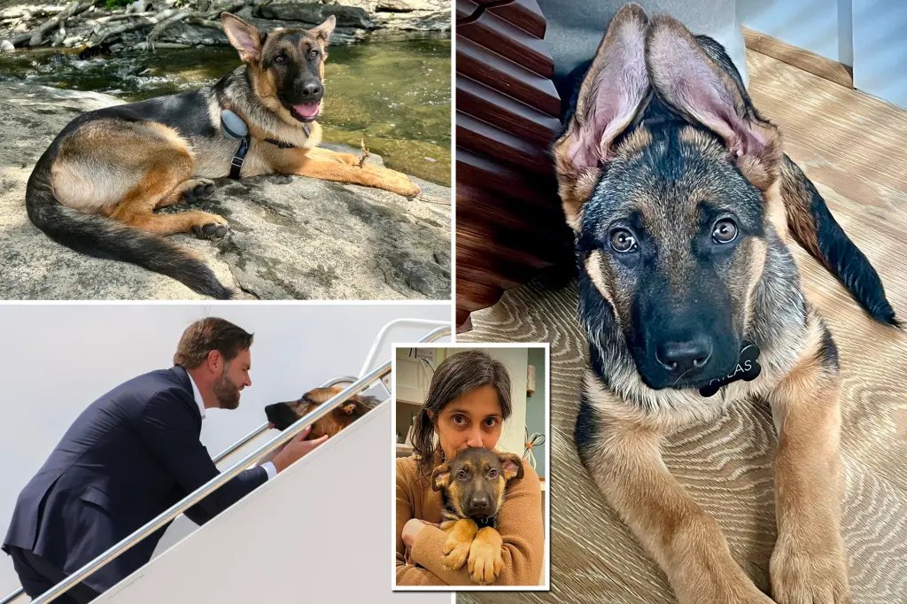 <a href="/JDVance/">JD Vance</a> Happy Birthday to the Second Lady aka Mom!

Lots of loves from Atlas and the Patriots, together we will make America Great Again 🇺🇸