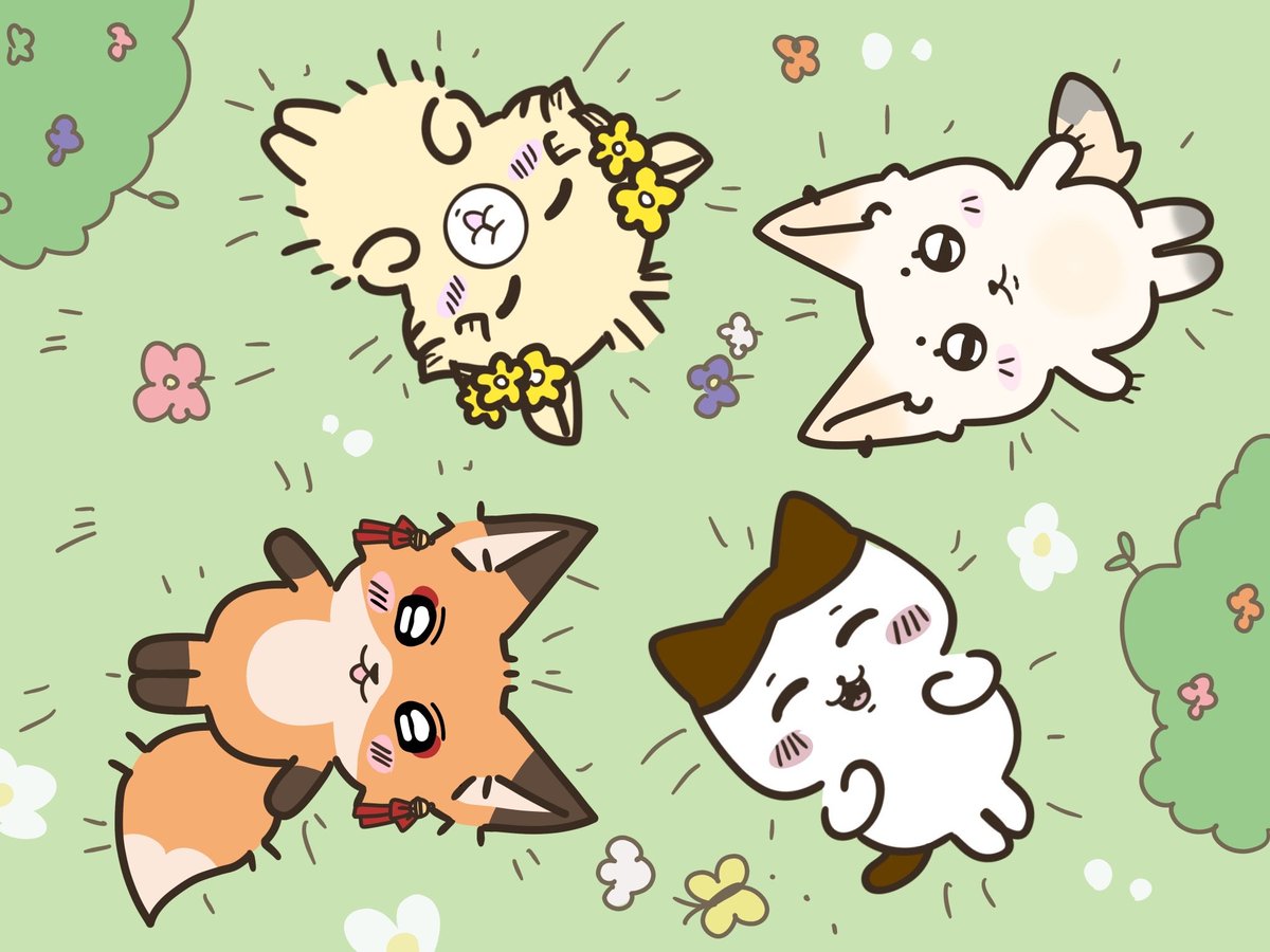 perboba 🤎🧋 tweet media