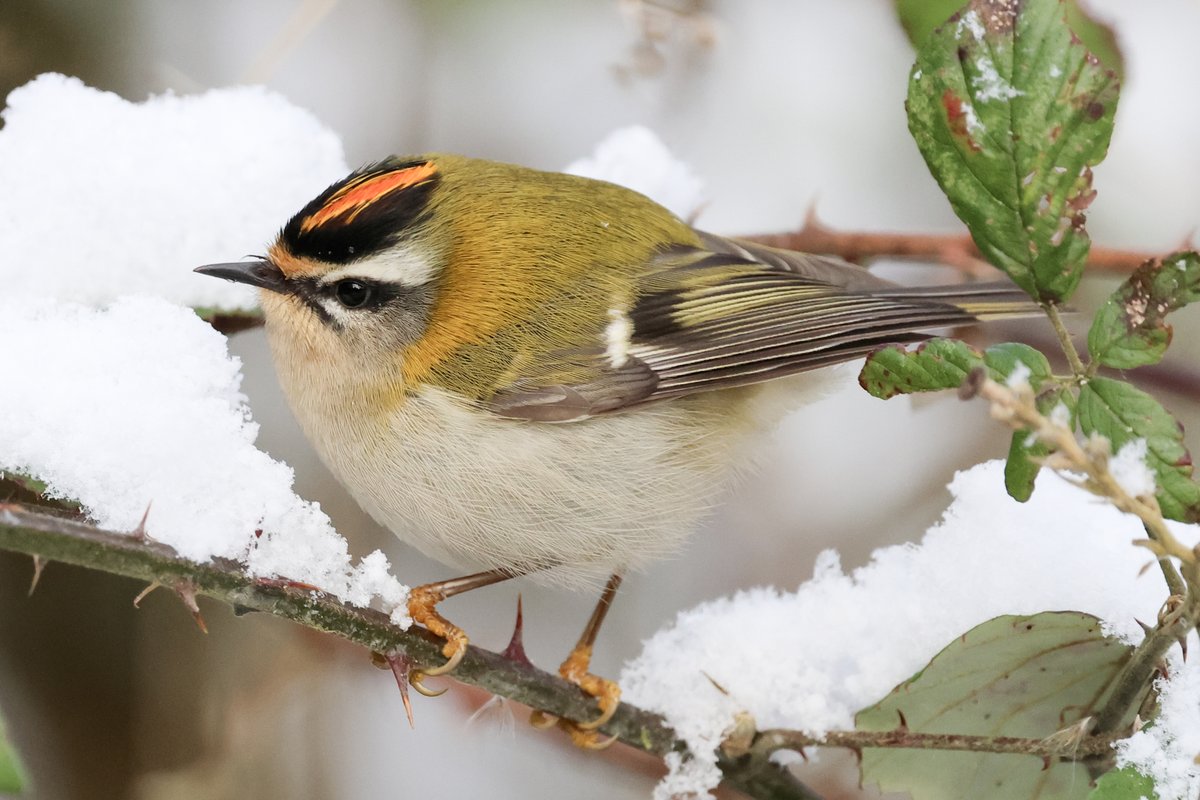 Marcus Nash tweet media