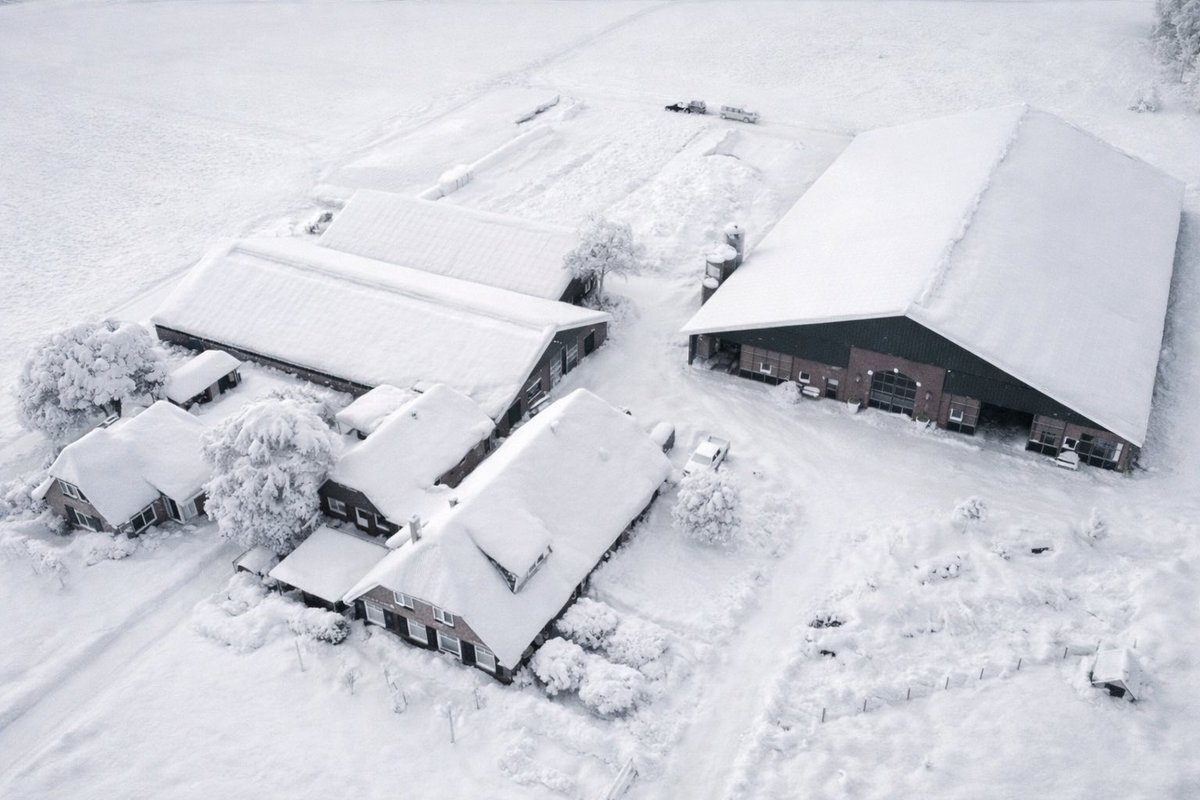 Geertjan Kloosterboer tweet media