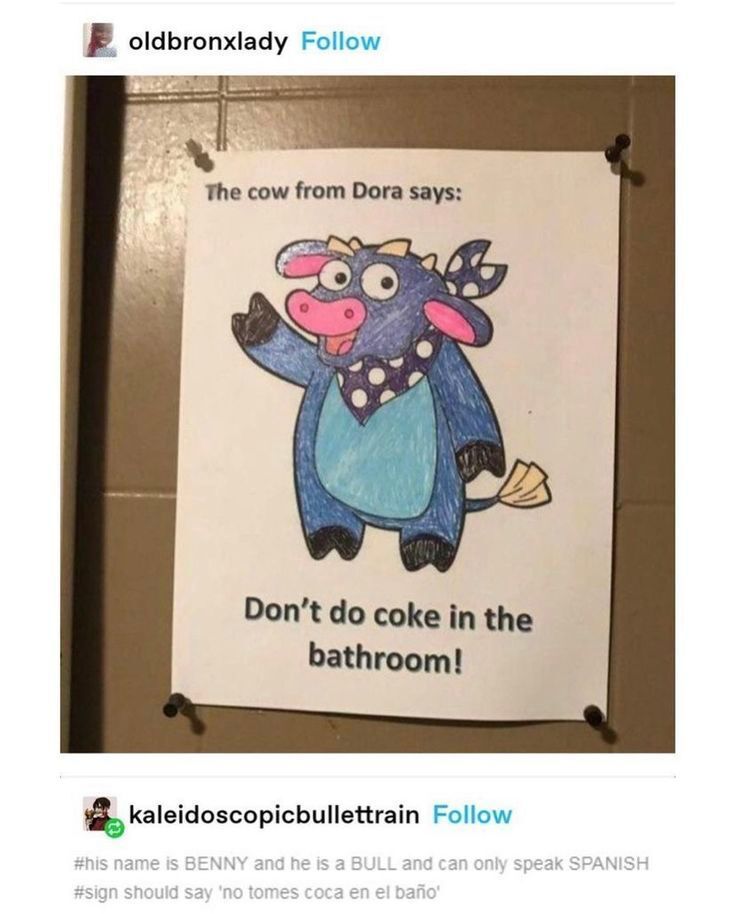 dinosaurs1969's tweet image. 