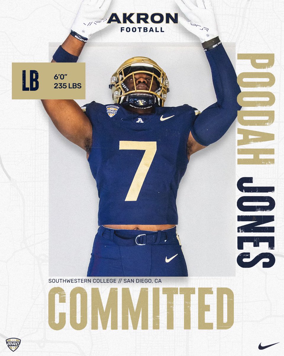 POODAH®️ tweet media