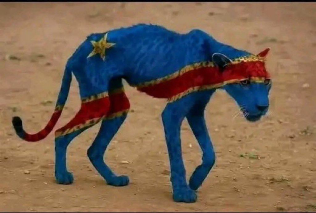 el faye 🇸🇳 tweet media