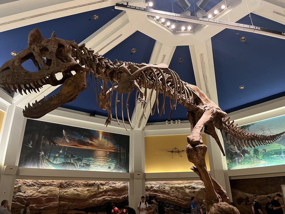 Saying goodbye to the didney dino because it probably won’t be here when i visit again 😭