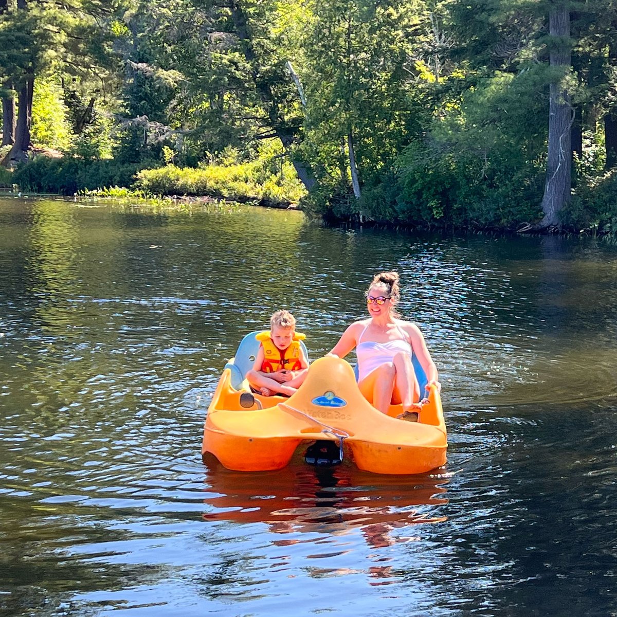 Walker Lake Resort tweet media