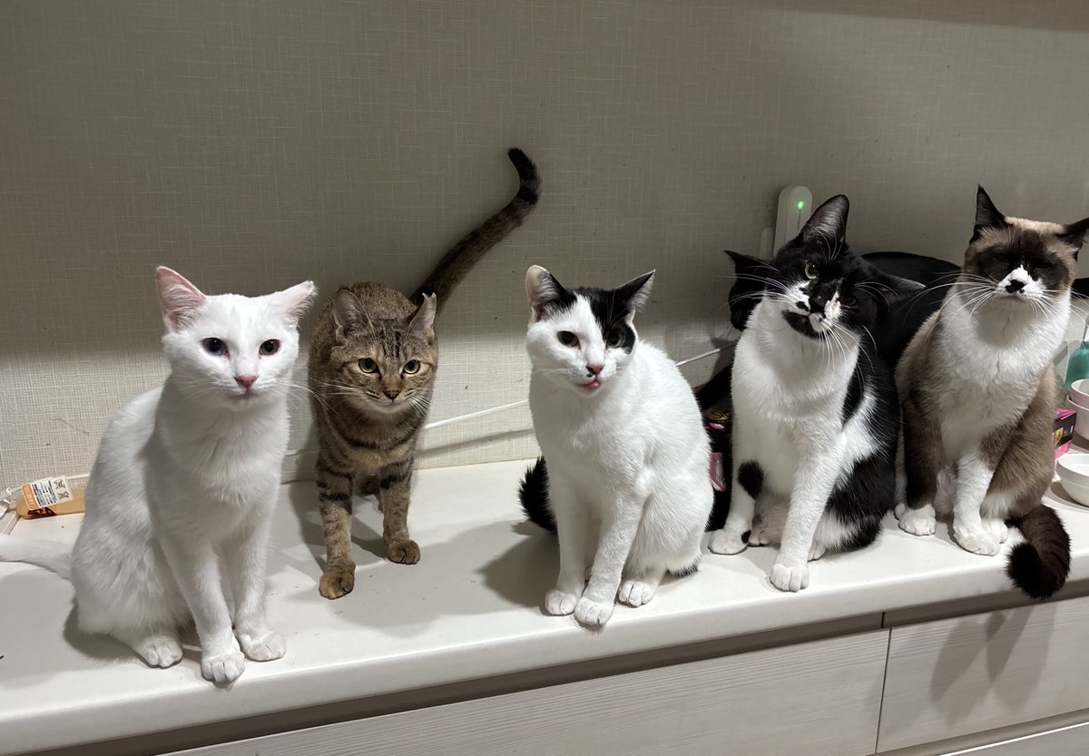 こまちゃん〜背番号【0325】〜 (@komachan2525) / Posts / X