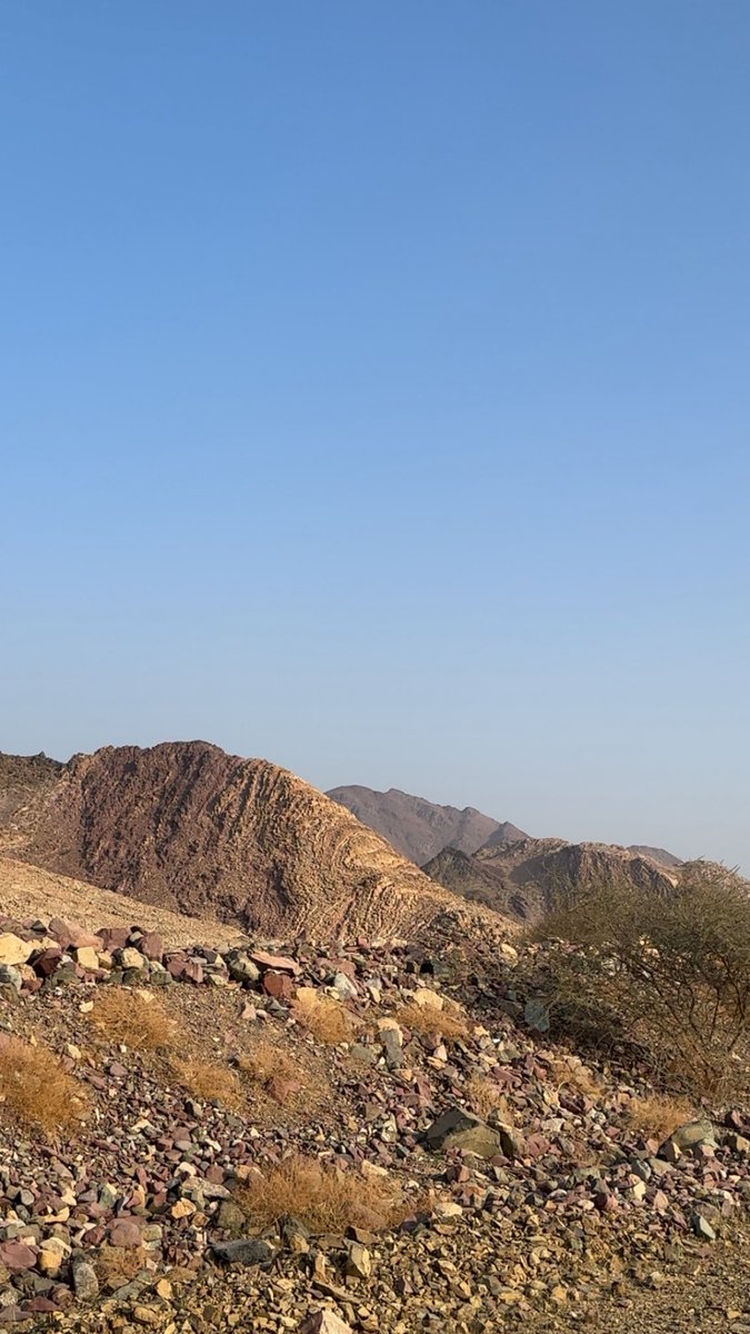 geo . Layan Alhendi tweet media