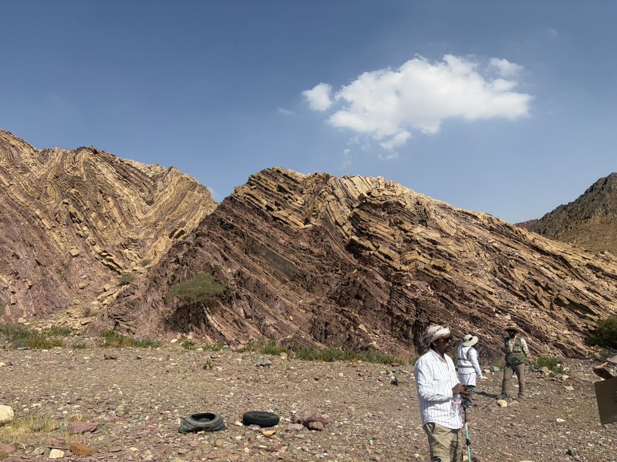 geo . Layan Alhendi tweet media