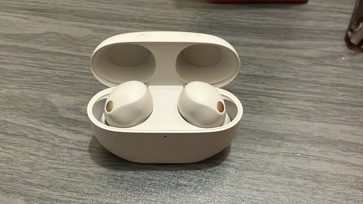 最近iPhoneのライトニングの調子悪くてイヤホンがまともに使えなかなってきたから大奮発して3万もするワイヤレスイヤホンデビューしましたん。
ノイズキャンセル付き、音質最高、耳から外すだけで自動的に再生ストップ機能と万能すぎてSONYに惚れた。