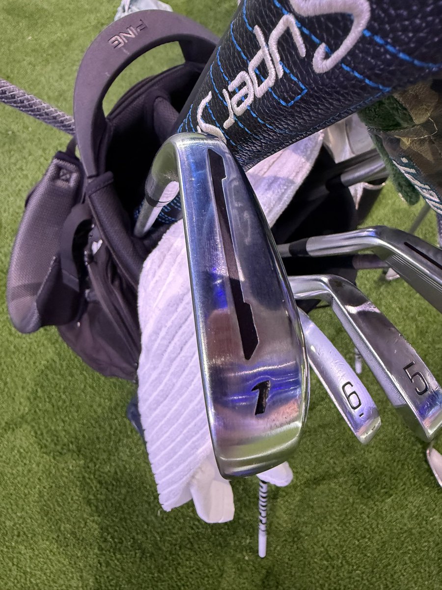 cicioCASTRO's tweet image. This endangered species might make an appearance on TGL tonight.