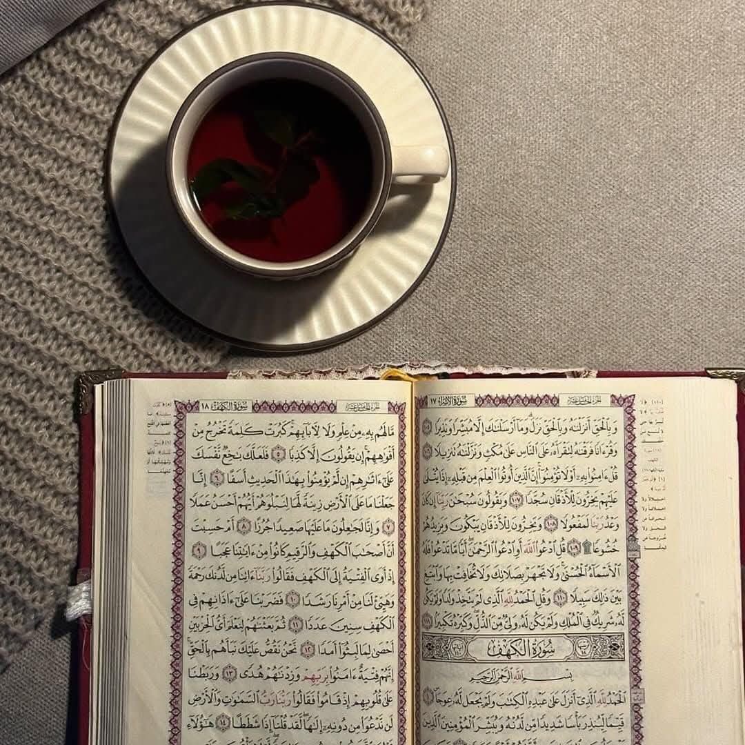 "مَن عاشَ معَ القُرآنِ هدَأَ قلبُه
ولو تقاطَرت مَصائِبُ الدُنيا عليهِ!" 🤍