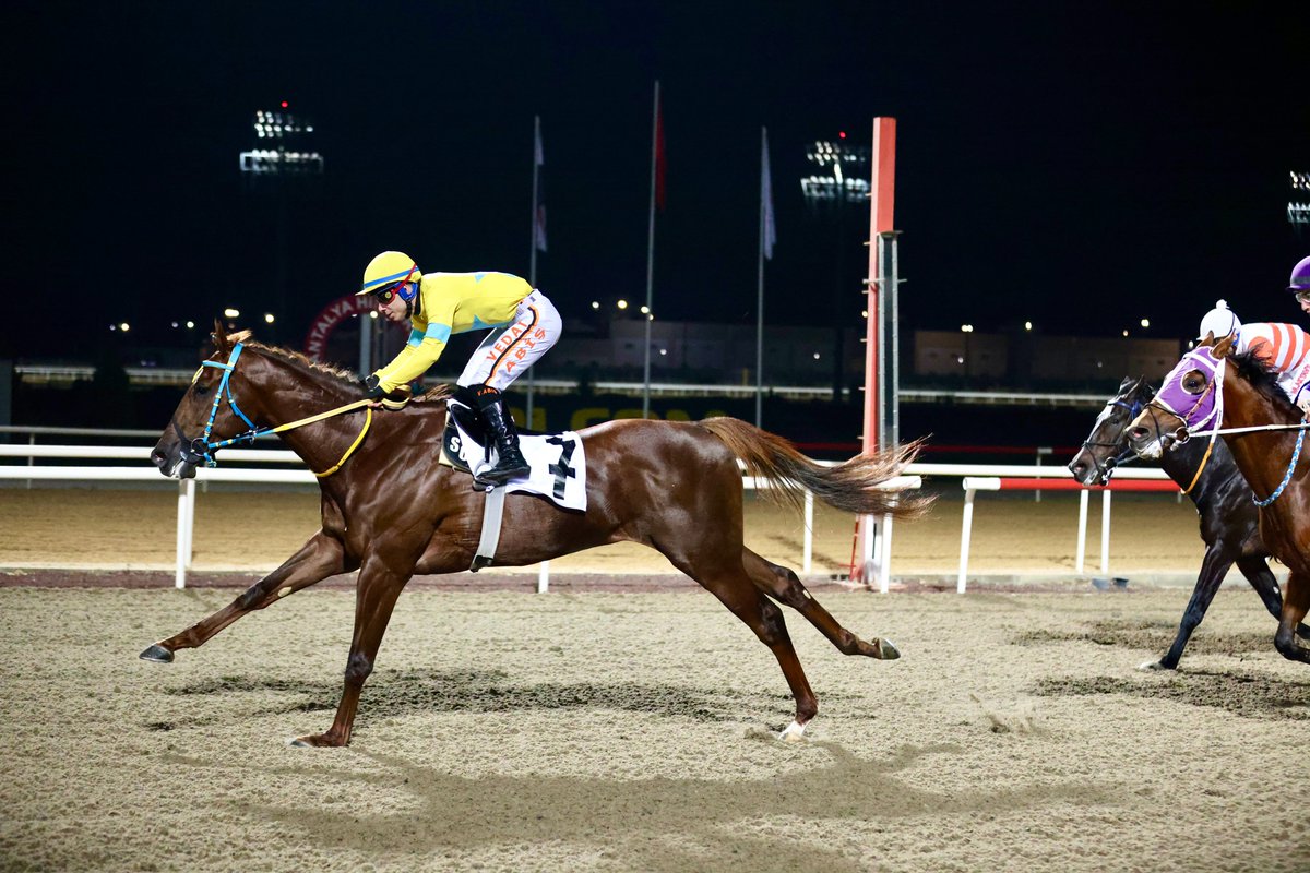 Manavgat Koşusu'nu Special Man kazandı 

tjk.org/TR/YarisSever/…