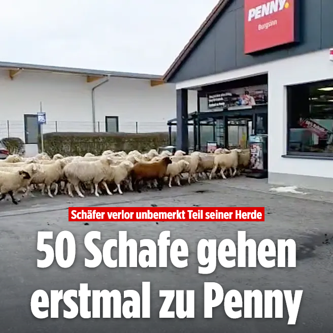 ex-Saksan uutisia tweet media