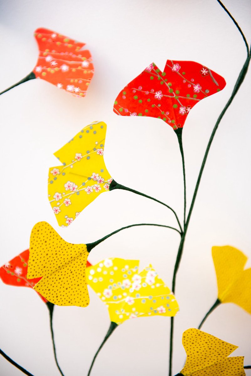 fineglace's tweet image. Dis-moi #X, dis-moi toi qui lit ce message , quelles couleurs j’utilise pour mes prochains bouquets ?? Quelles tonalités te font vibrer en ce moment ?