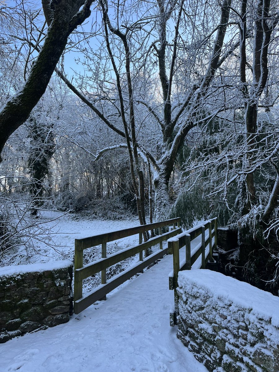 Journée peu ordinaire mais magique à la <a href="/larochesuryonfr/">La Roche-sur-Yon, Ville & Agglomération</a> ❄️ #Neige #Hiver