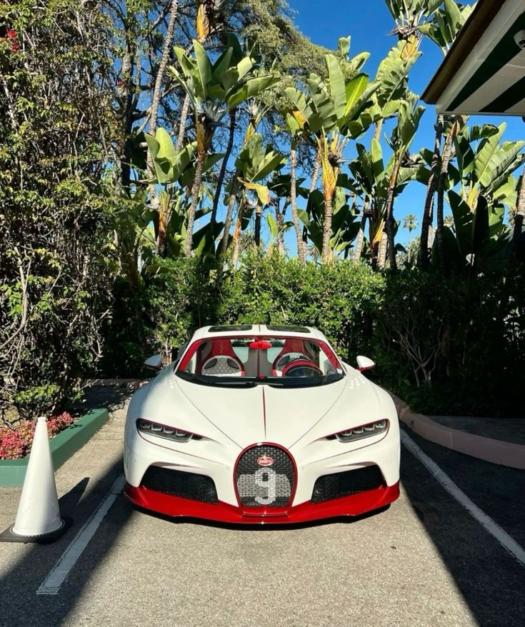 That white and red combo looks so clean against the palm trees. It’s like the ultimate vacation car if your vacation involves going 200 mph. 🌴