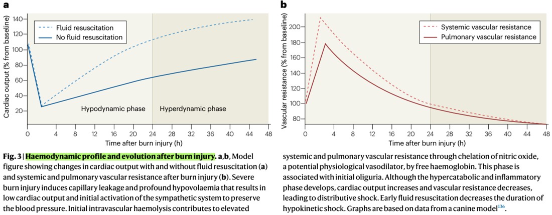 Nefro_Tweets tweet media