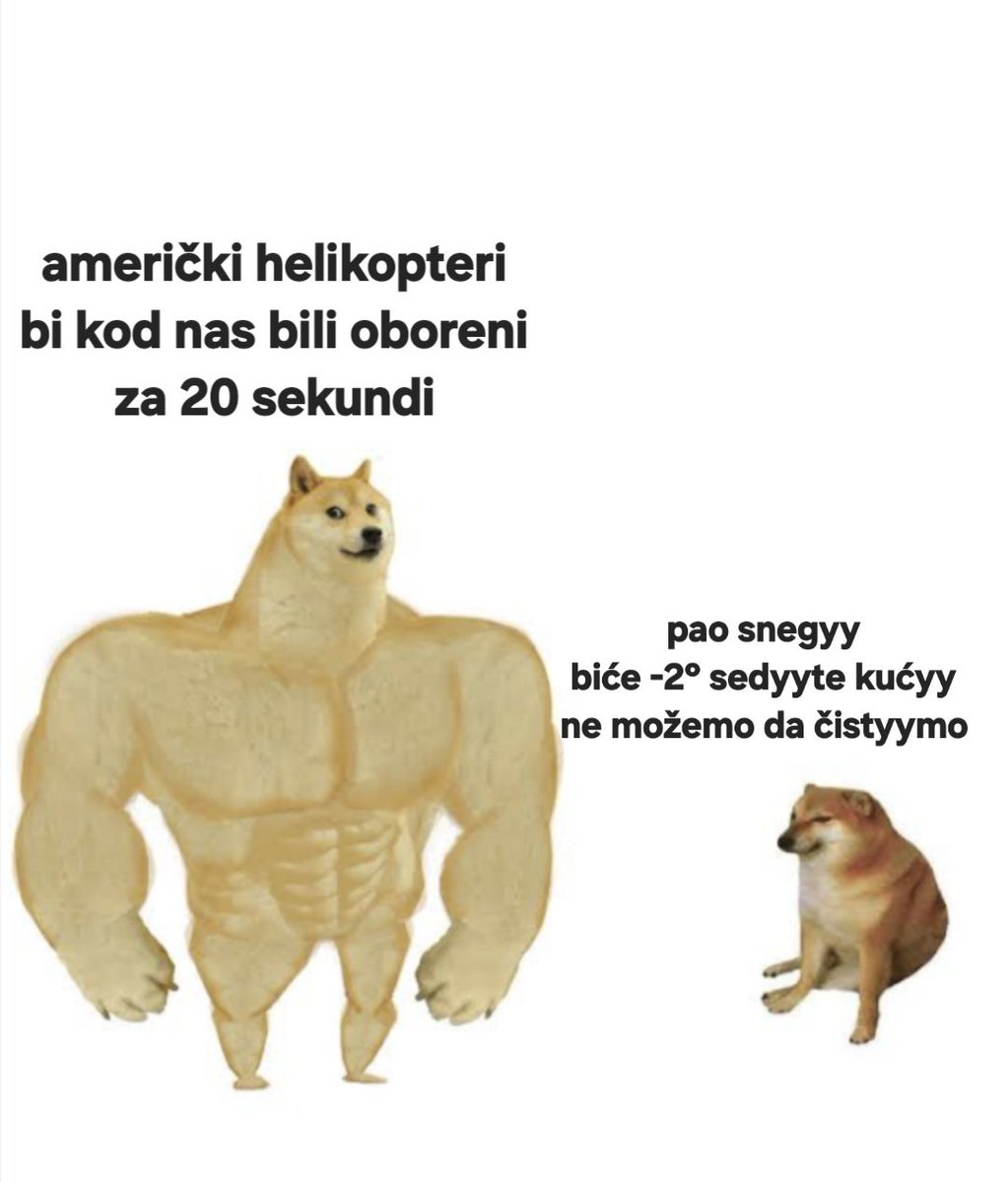 tw profil (@nekonevazan) on Twitter photo 