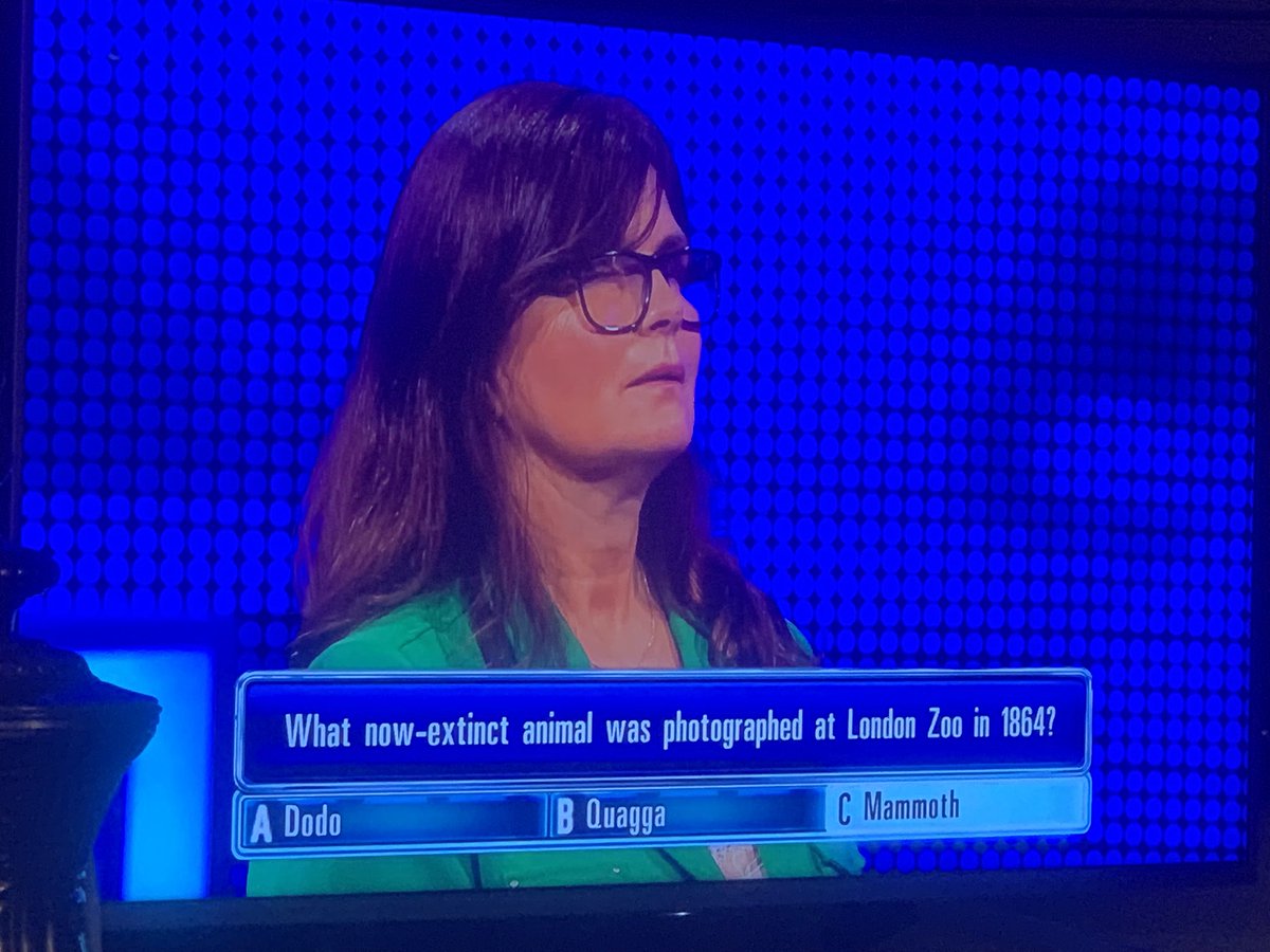 saints442's tweet photo. Just when I think I’ve seen it all, a contestant on #TheChase reckons that Mammoths have been seen at London Zoo 🤔😩😣😱
It really does beggar belief !!! 
They’ve only been extinct 4000 years!!!!

She even says there is one there now !!!!
I despair !!!!!! 🦣 https://t.co/UG71sadE1D