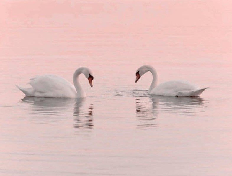 dreamyyarchive's tweet image. 