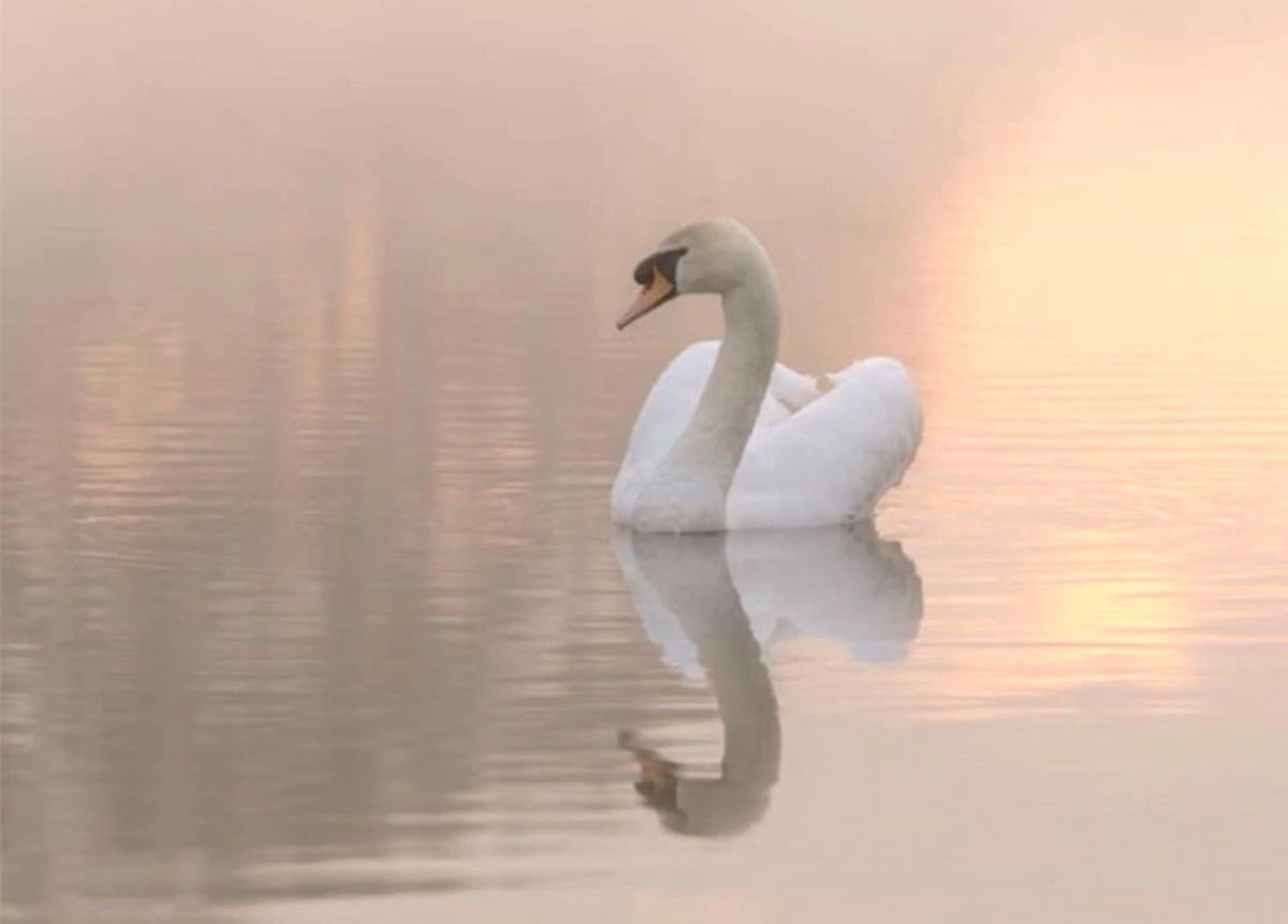 dreamyyarchive's tweet image. 