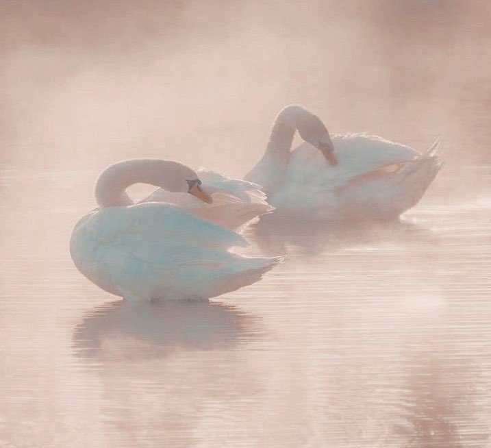 dreamyyarchive's tweet image. 