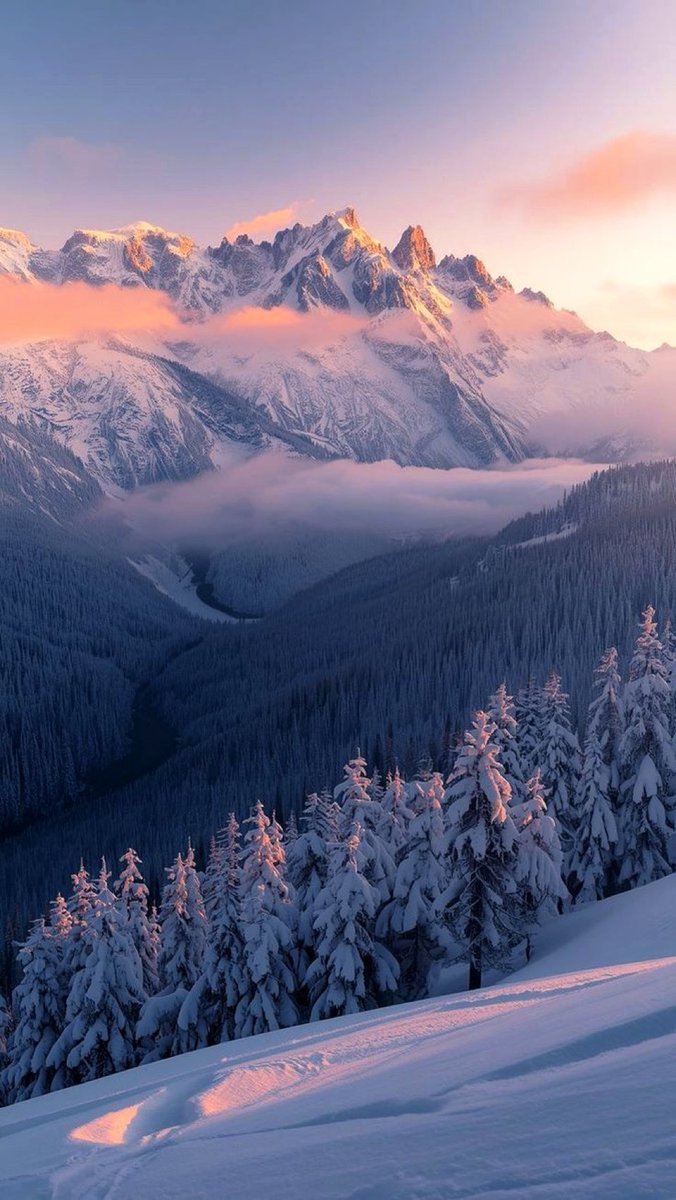 Winter feelings ❄️🌨️🏔️ #sunset #snow